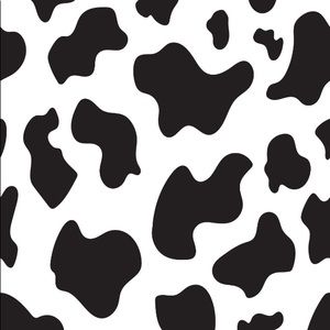 Meet your Posher, Ella